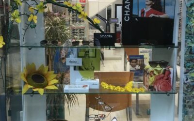 ¡Bienvenidos!